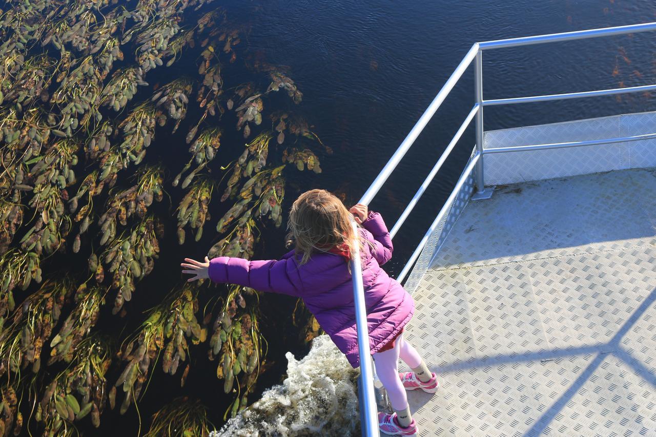 Scenic Waterways Retreat Bed & Breakfast Hokitika Exterior foto